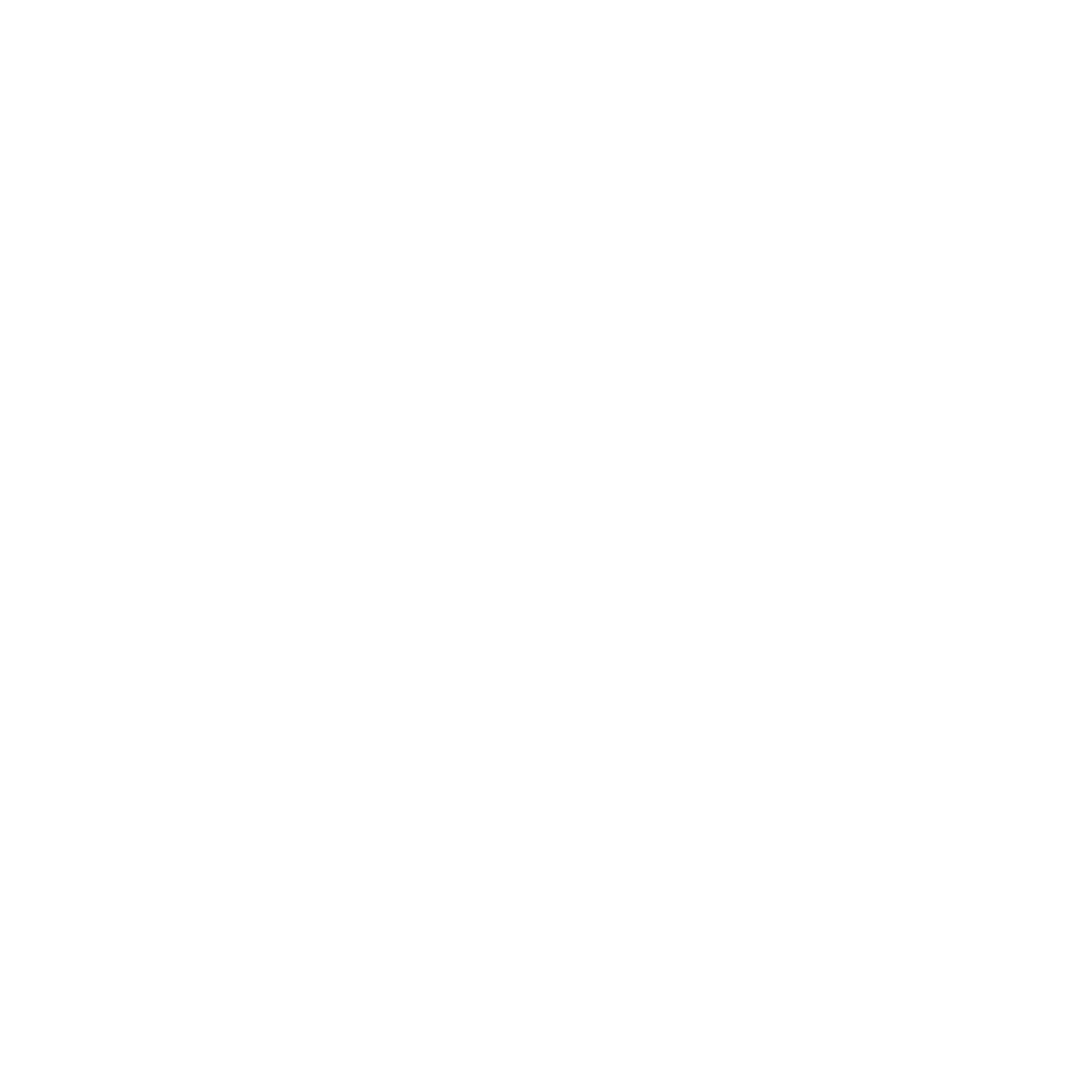 Zanzi